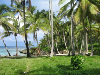 Playa Madama Las Galeras Samaná